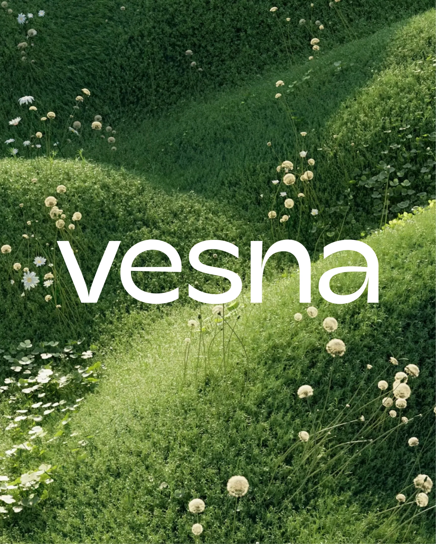 VESNA.